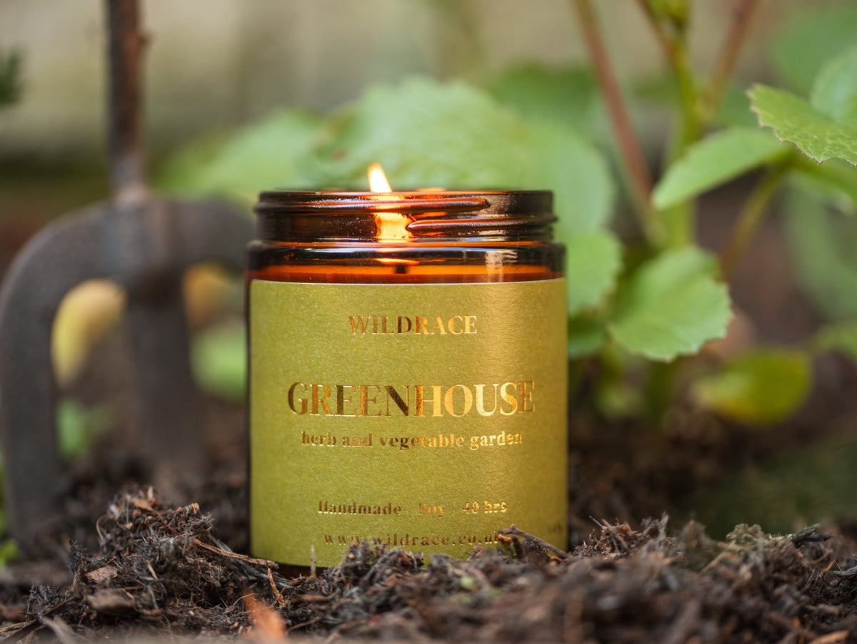 Greenhouse candle