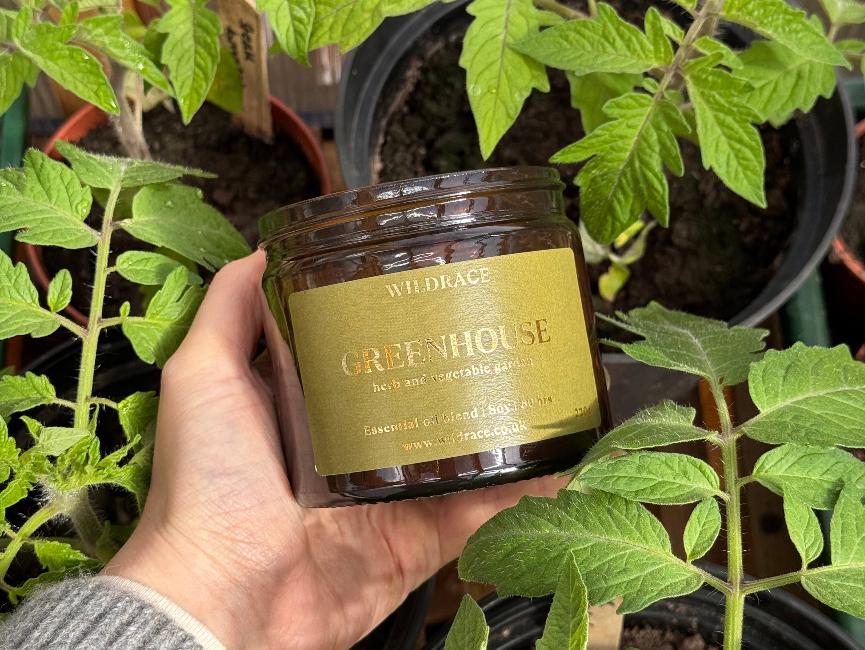 One Year of Greenhouse: The Story Behind Our Most Original Summer Scent