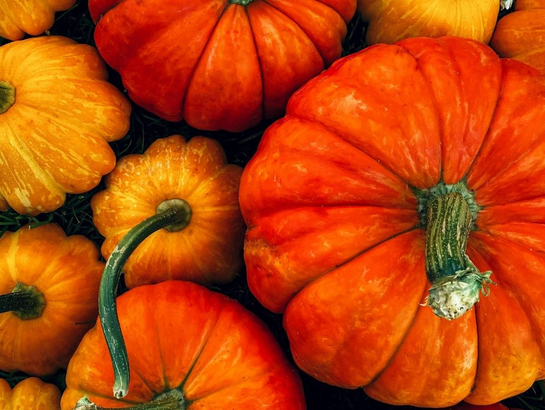 CODE ORANGE: The First Whisper of Autumn Has Arrived 🧡