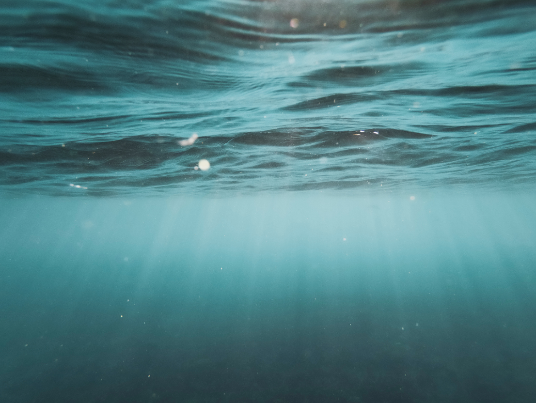 a clear ocean, viewed from under the sea and looking up at the surface. light beams through.