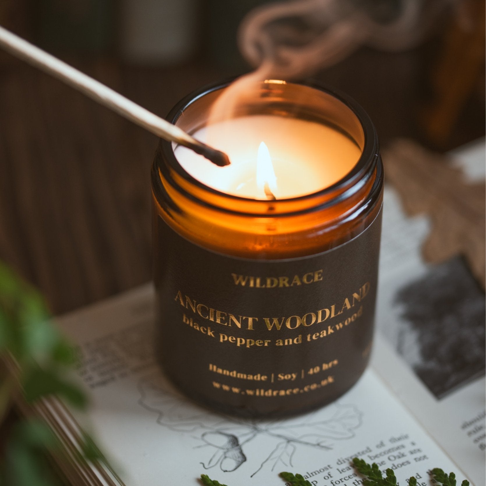 Ancient Woodland - Masculine Woodsy Candle