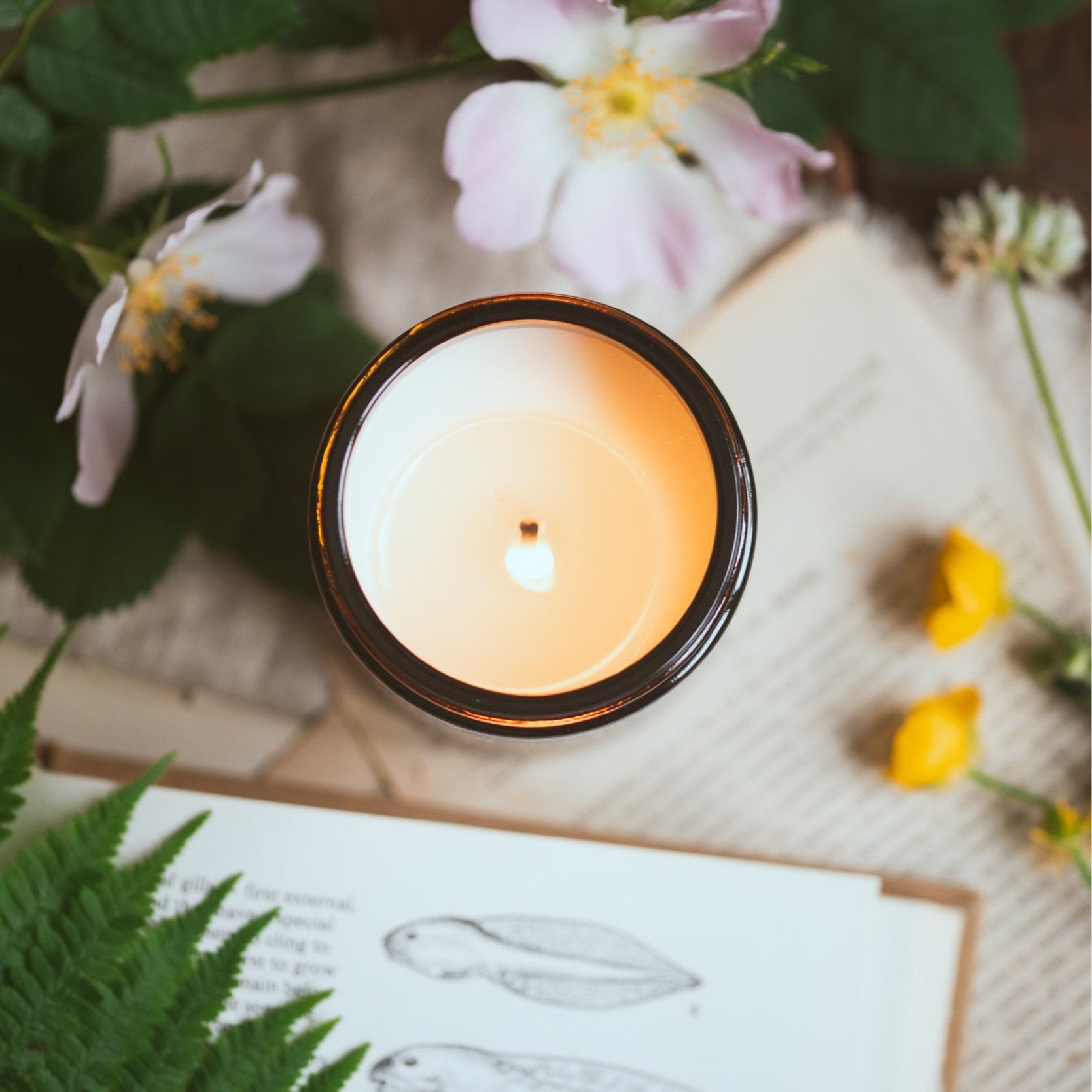 By The Lake - Lakeside Forest Candle