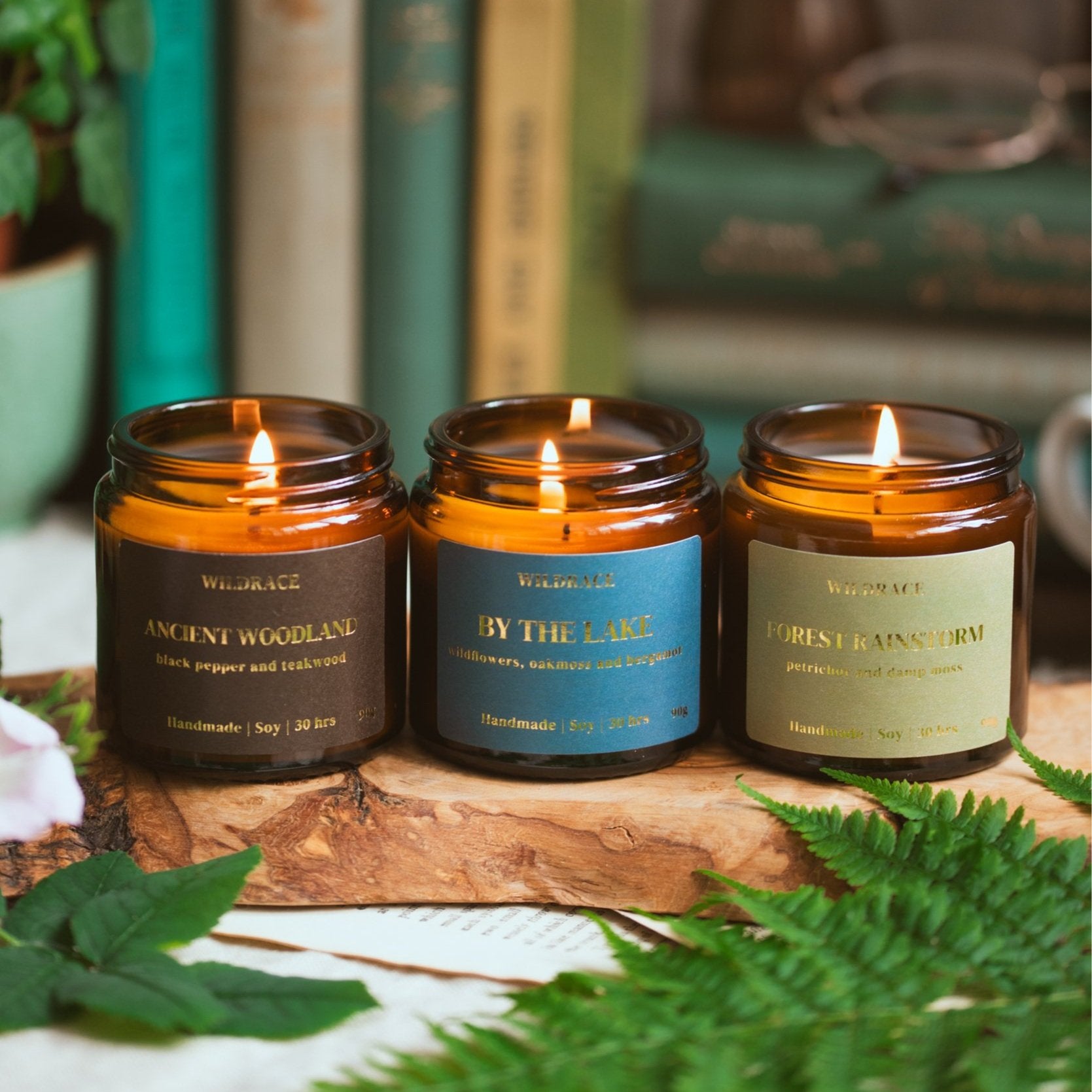 Whimsical Forest Candle Gift Set - Including Viral Petrichor Candle