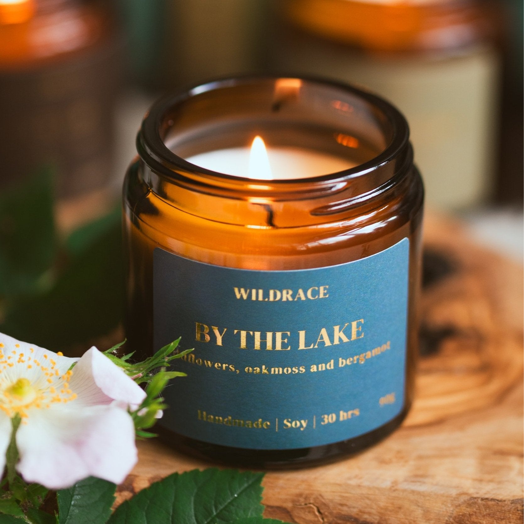 Whimsical Forest Candle Gift Set - Including Viral Petrichor Candle