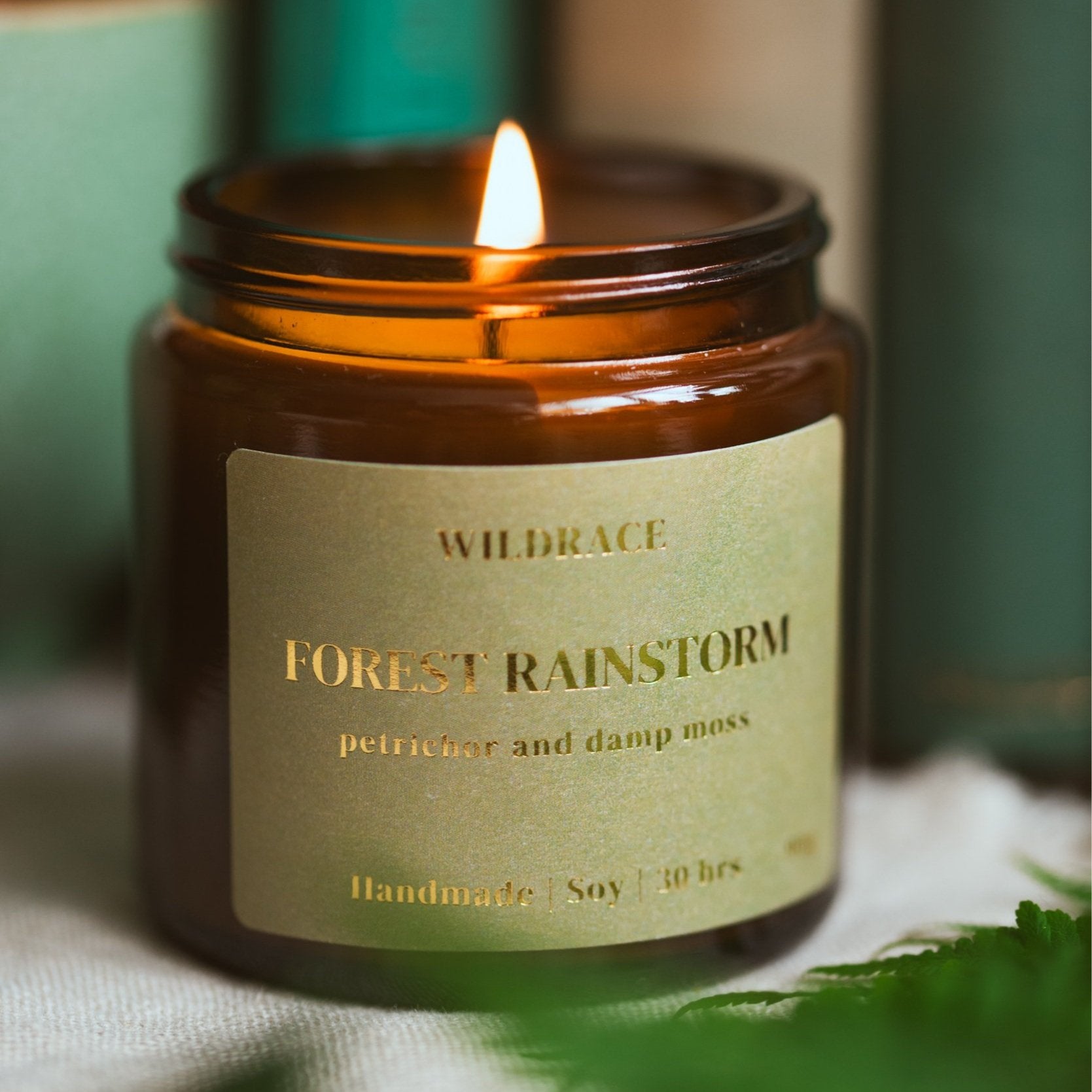 Whimsical Forest Candle Gift Set - Including Viral Petrichor Candle