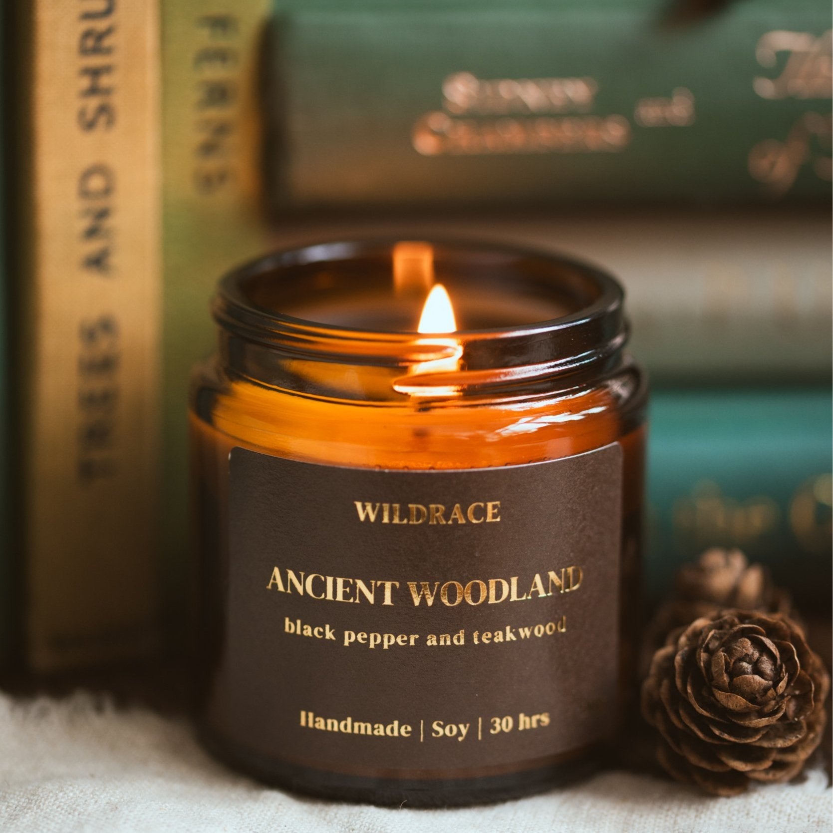 Whimsical Forest Candle Gift Set - Including Viral Petrichor Candle