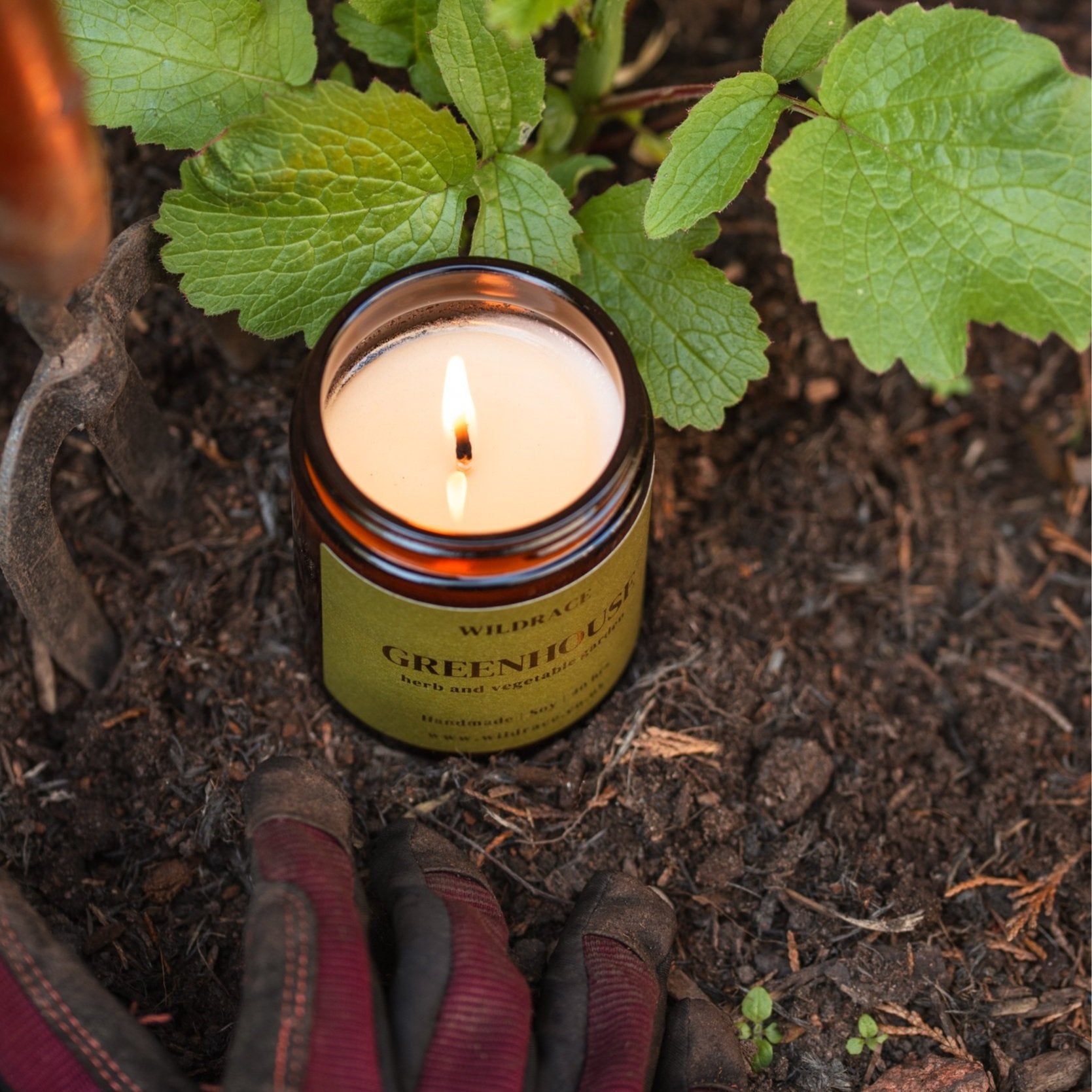 Greenhouse - Herb and Vegetable Garden Candle