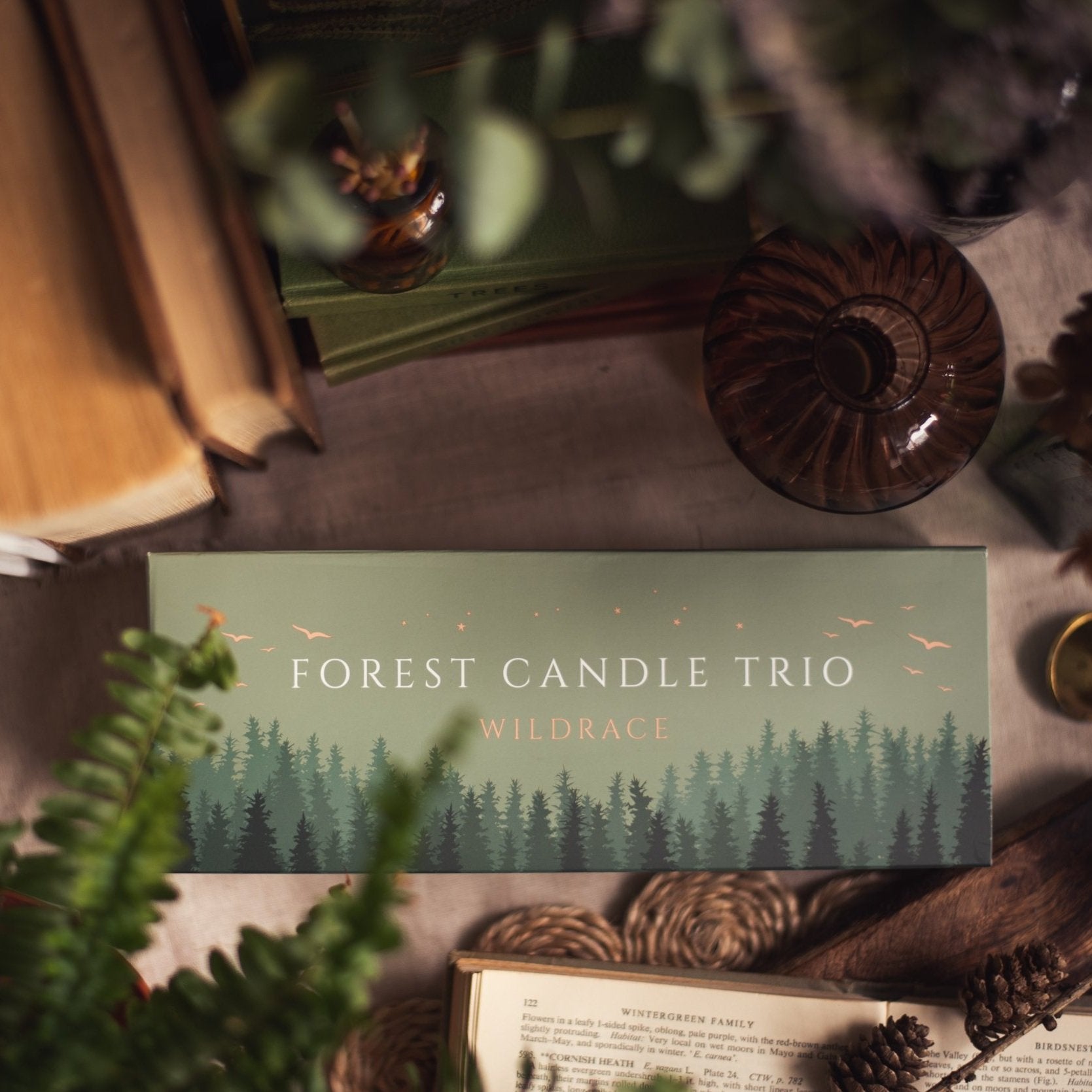 Whimsical Forest Candle Gift Set - Including Viral Petrichor Candle