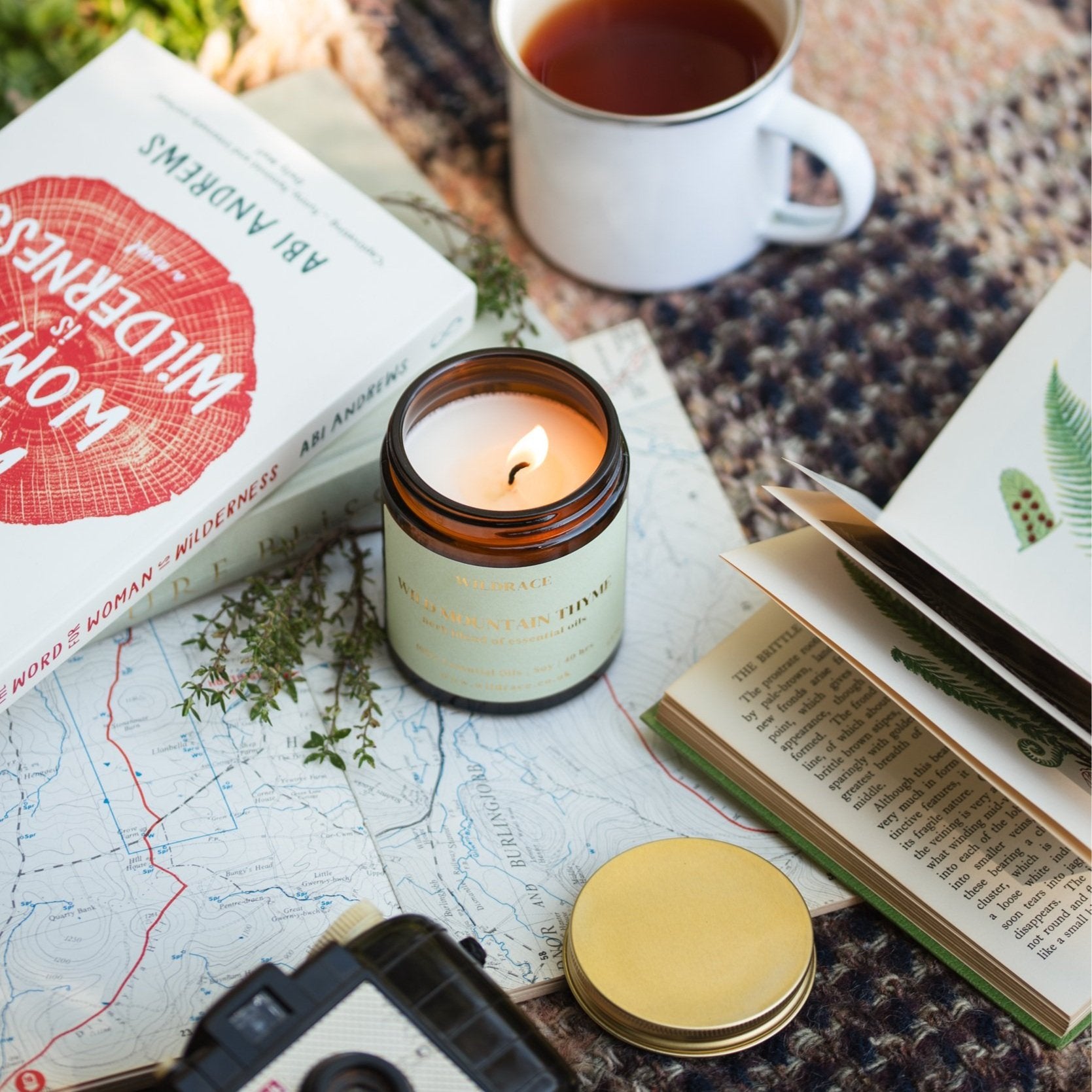 Wild Mountain Thyme - Wild Herb Candle