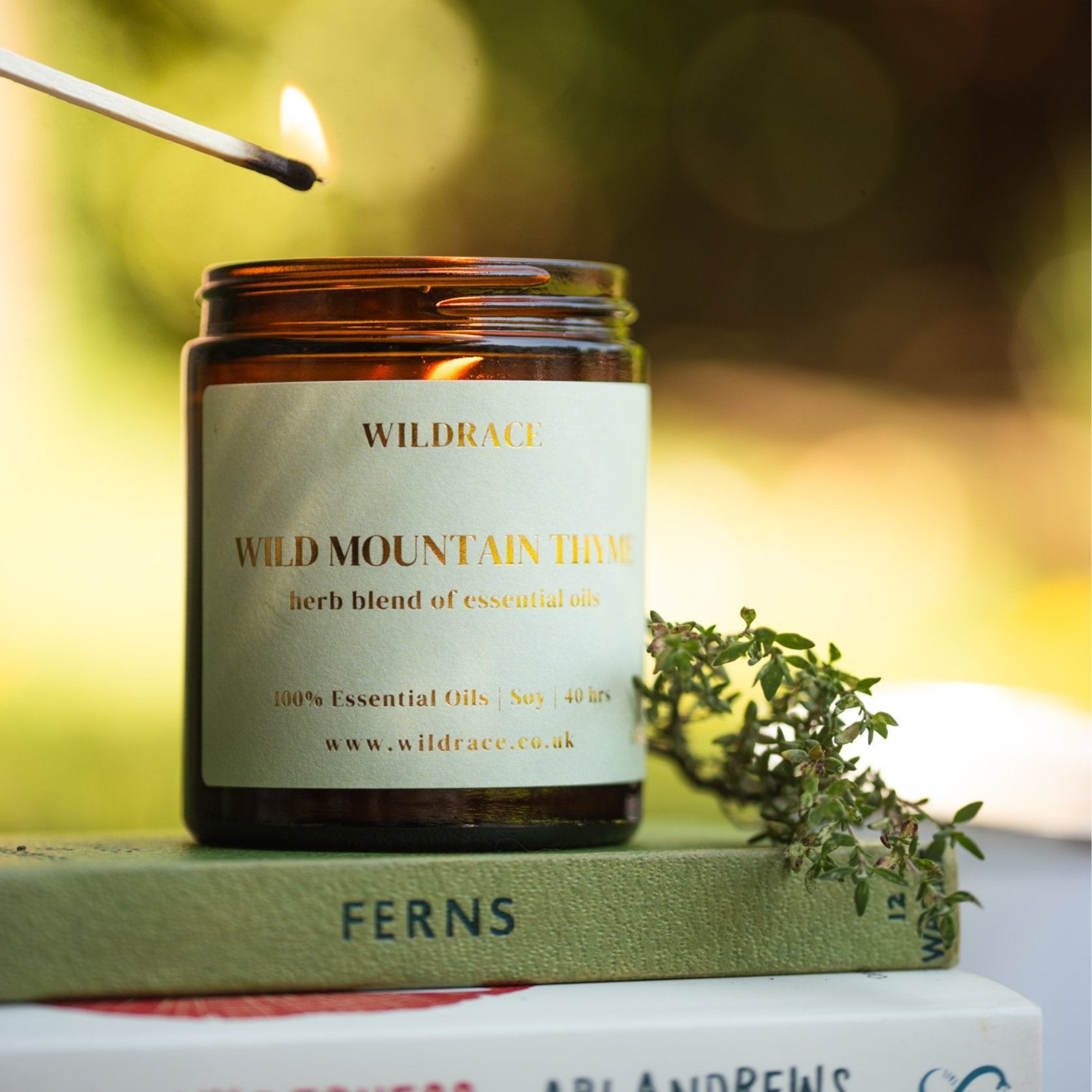 Wild Mountain Thyme - Wild Herb Candle