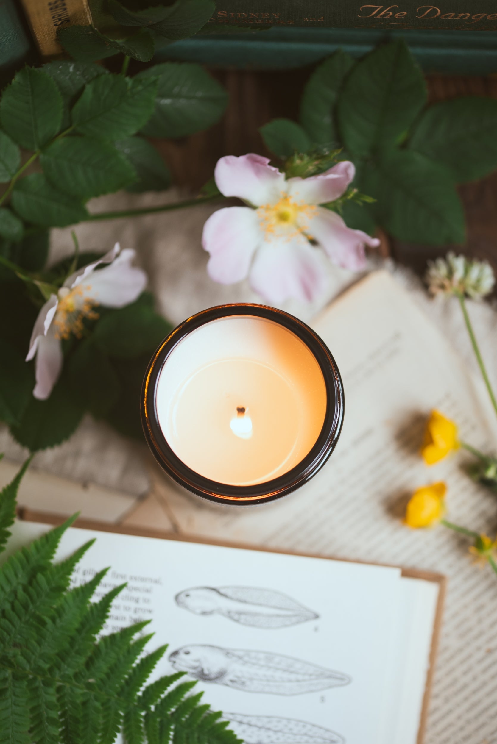 can candles cause cancer?