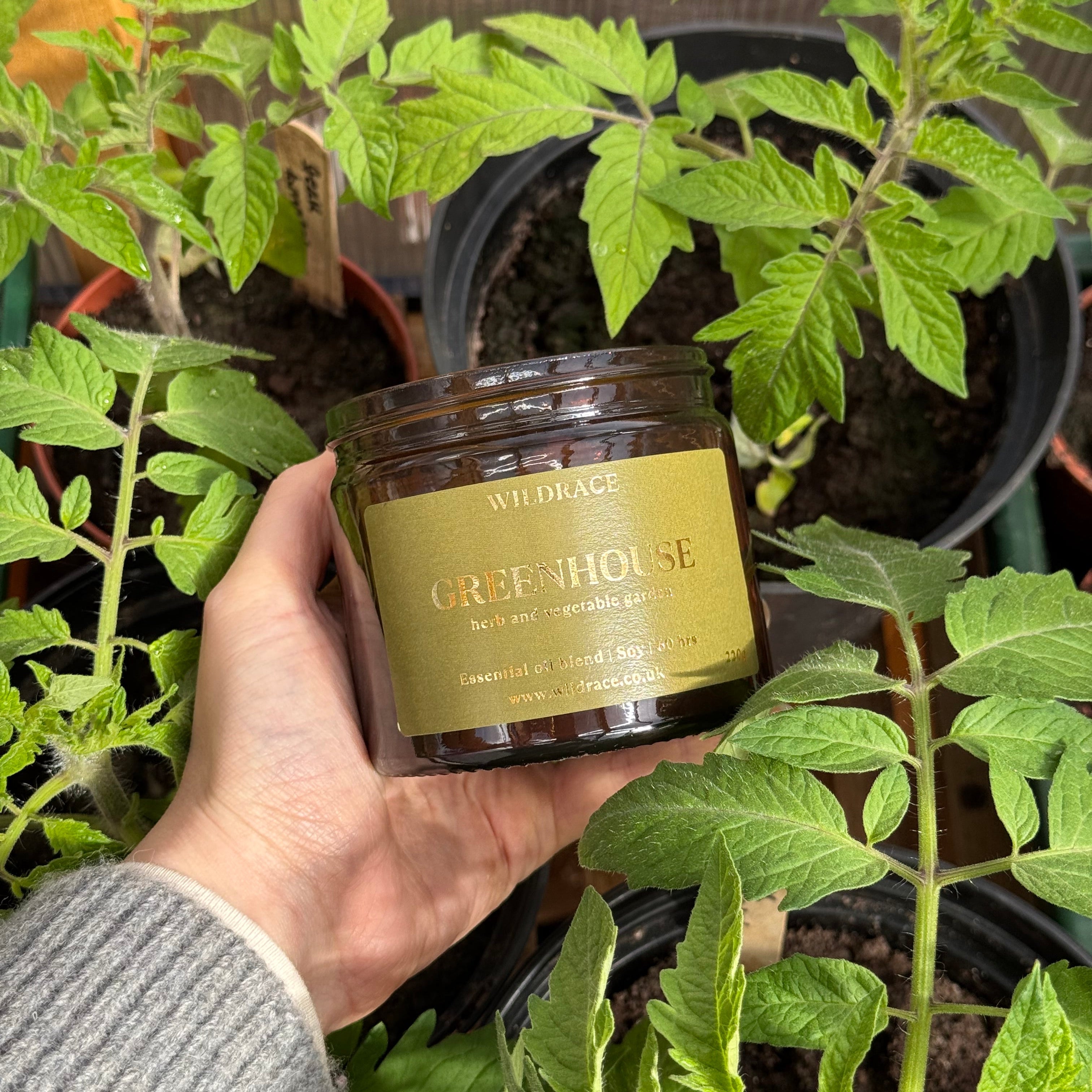 One Year of Greenhouse: The Story Behind Our Most Original Summer Scent