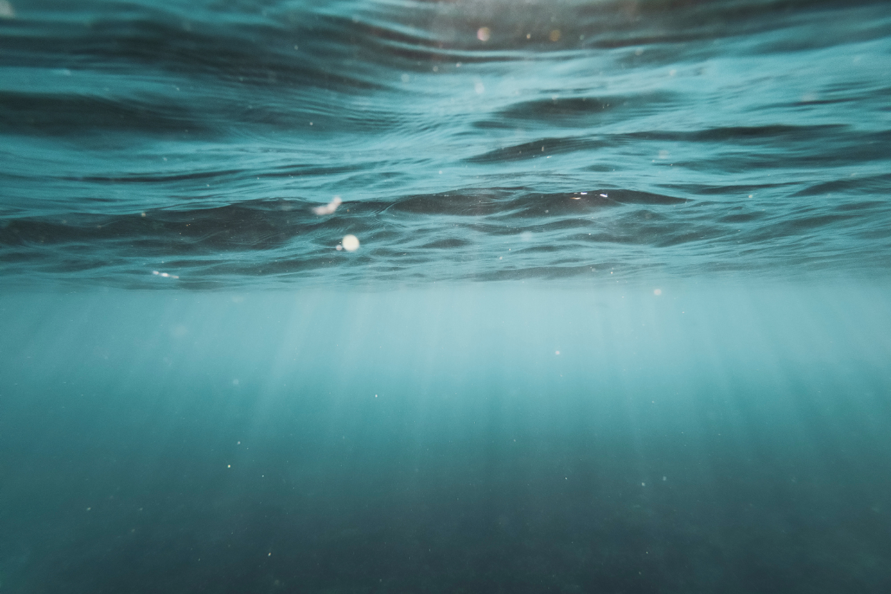 a clear ocean, viewed from under the sea and looking up at the surface. light beams through.