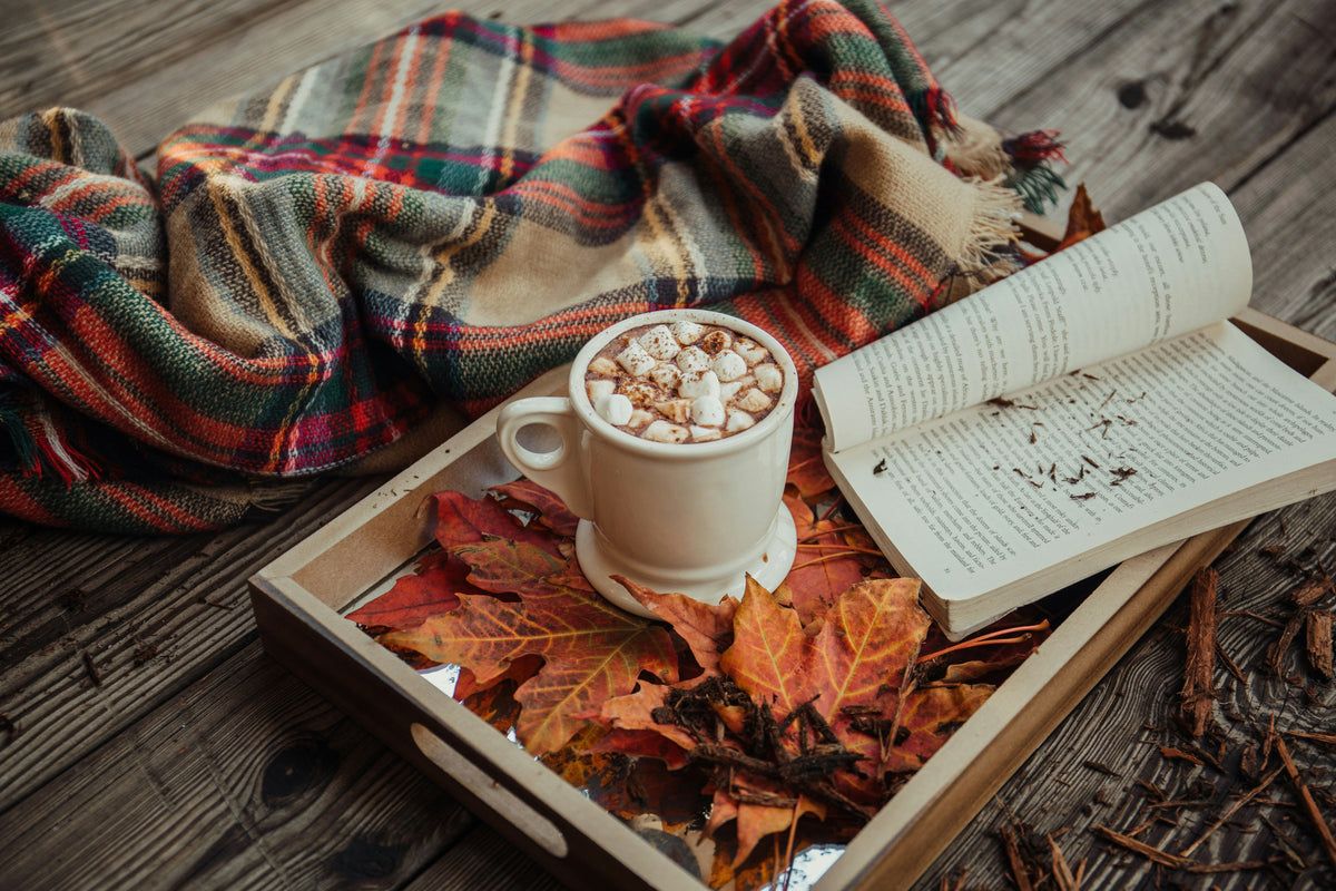 Mug of hot chocolate topped with marshmallows, sitting in a tray of autumn leaves with an open book and plaid blanket nearby.