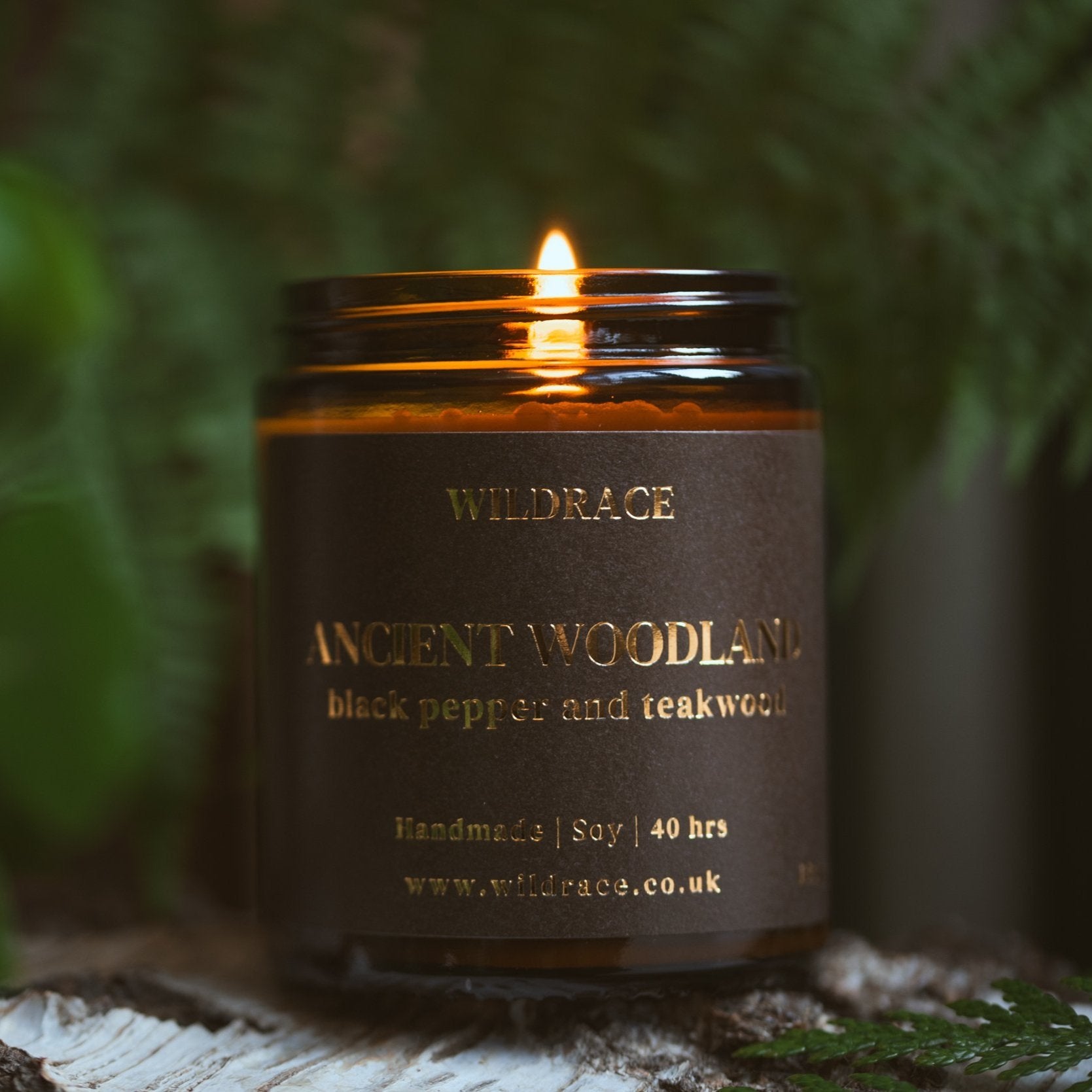 Ancient Woodland - Masculine Woodsy Candle