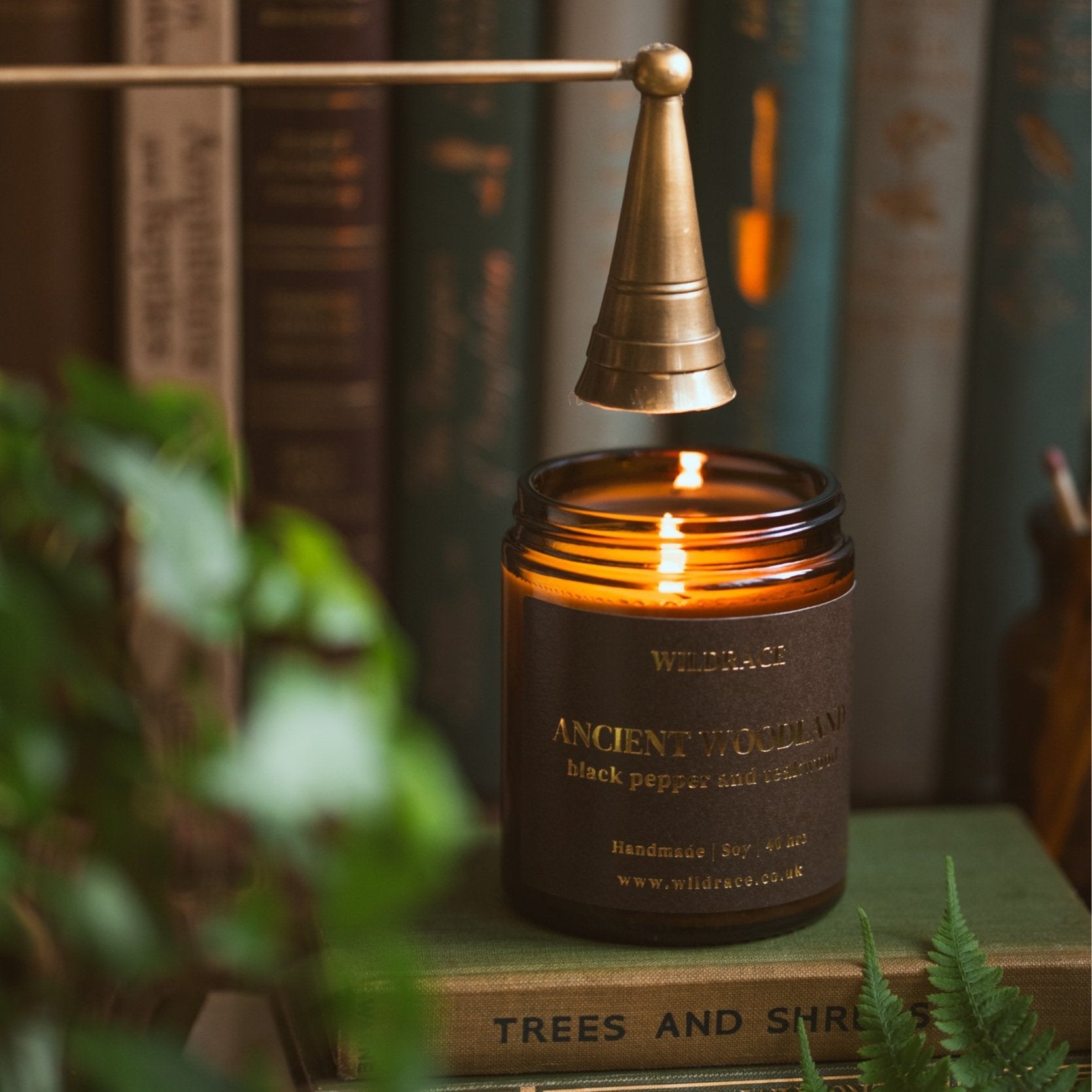 Ancient Woodland - Masculine Woodsy Candle