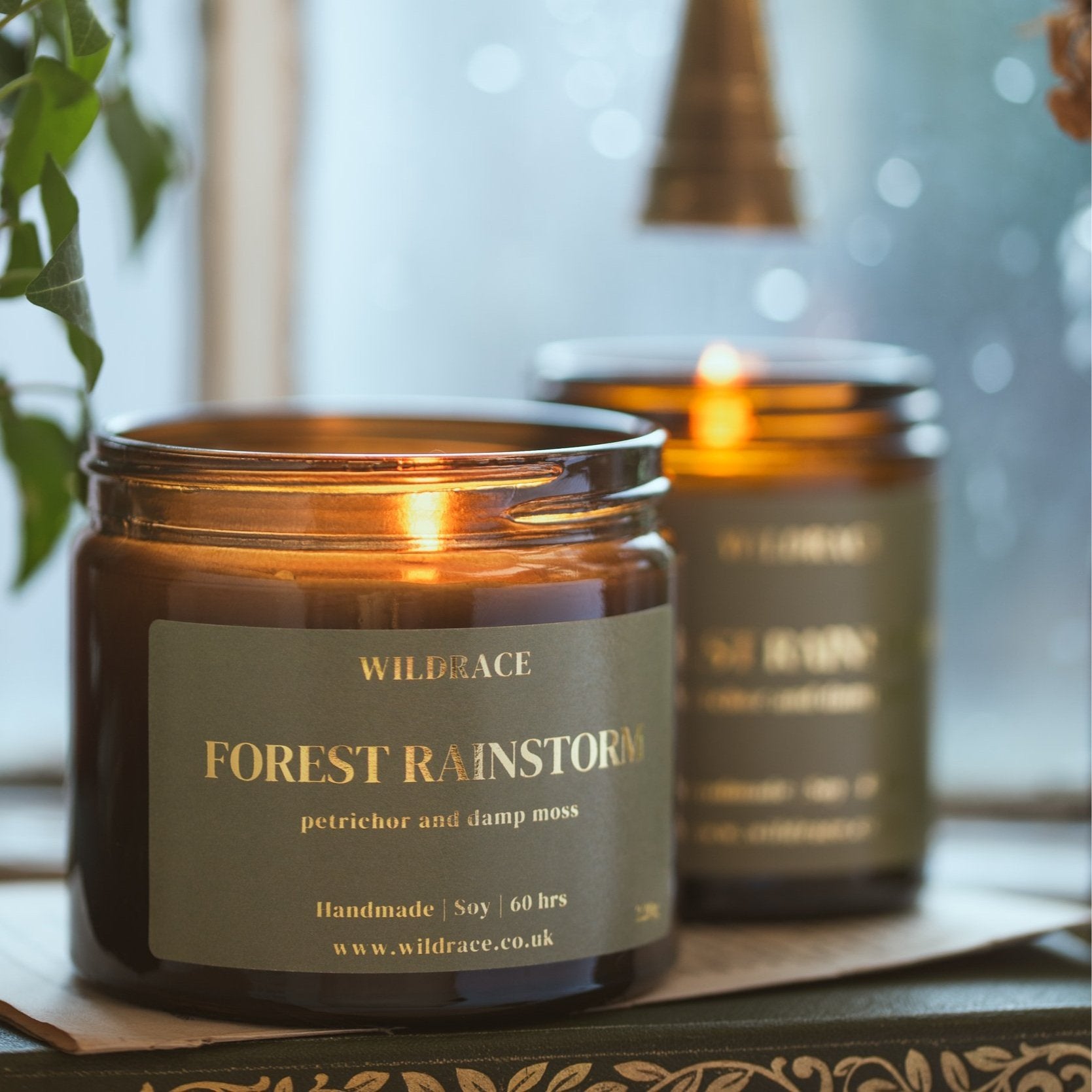 Petrichor Rain Scented Candle - Viral Favourite