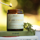Wild Mountain Thyme - Wild Herb Candle
